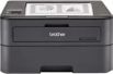 Brother HL-L2361DN Single Function Printer